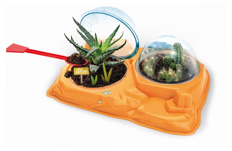 La Botanica Delle Piante Grasse